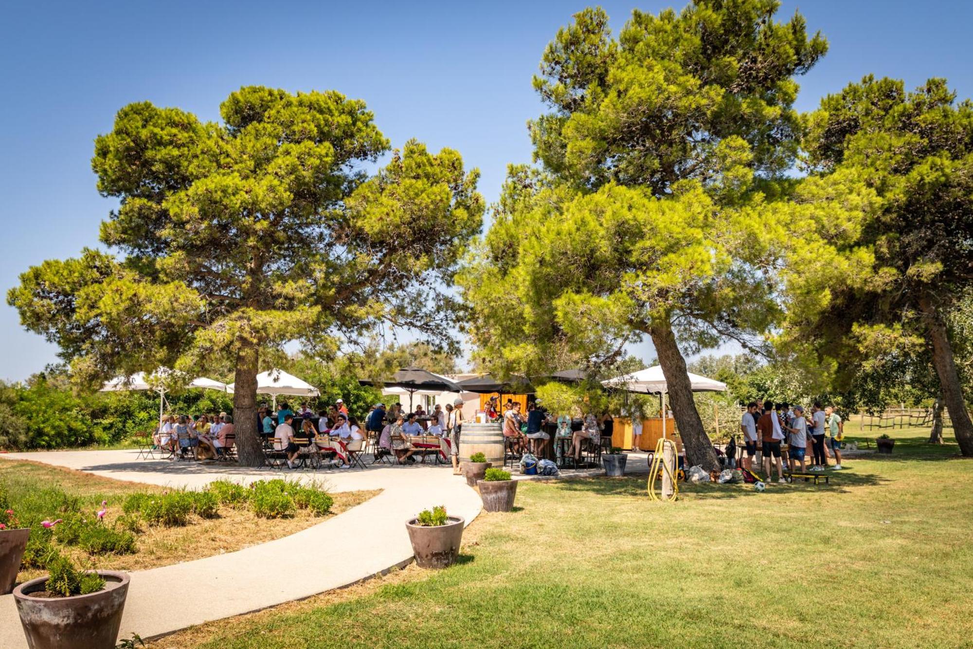 Lou Mas Dou Juge Hotel Saintes-Maries-de-la-Mer Exterior foto